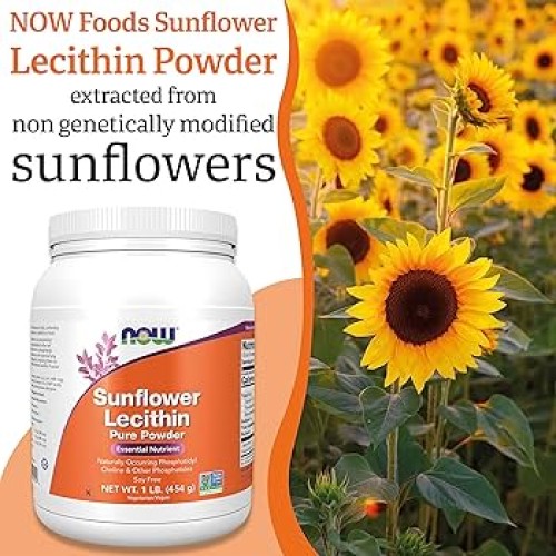 NOW Foods Sunflower Lecithin Pure Powder